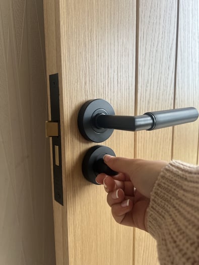 Door Handle & Thumb Turn & Lock